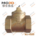MJ-HS50 G2'' DN50